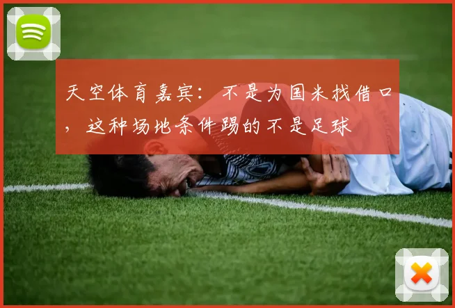 天空体育嘉宾：不是为国米找借口，这种场地条件踢的不是足球